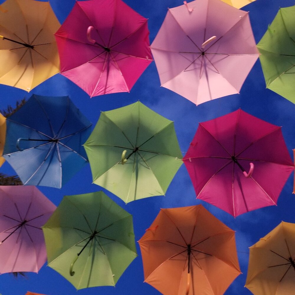Meet your Posher, Ranakatina